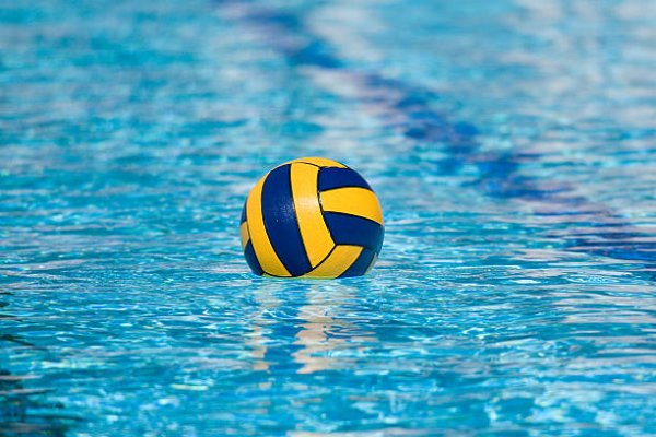 Compétition de natation de la fédération  (piscine olympique et bassin à vagues fermés tout le weekend) 